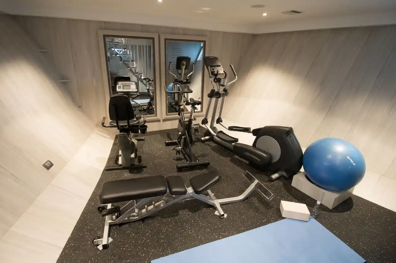 Origin, Theory and Evolve gym