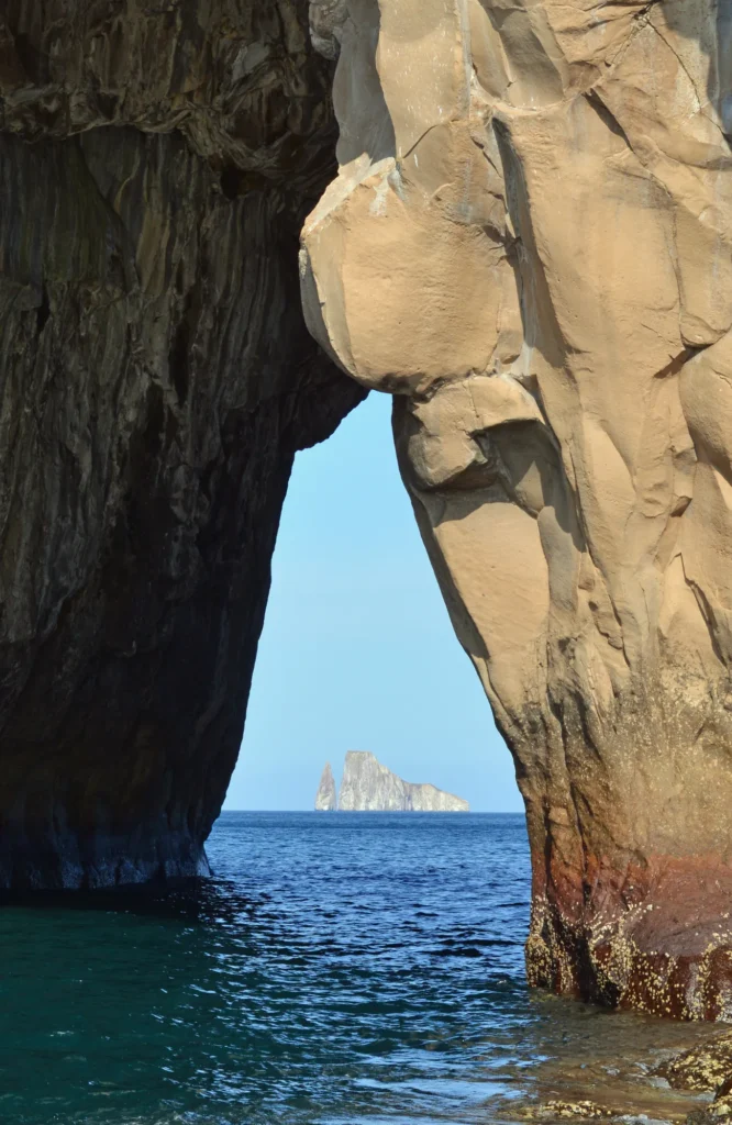 Passion Galapagos Yacht Activities