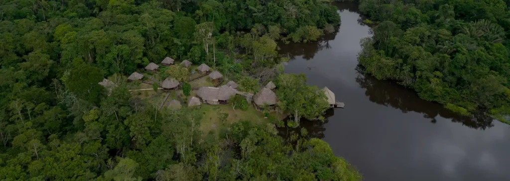 Ecuadorian Amazon jungle