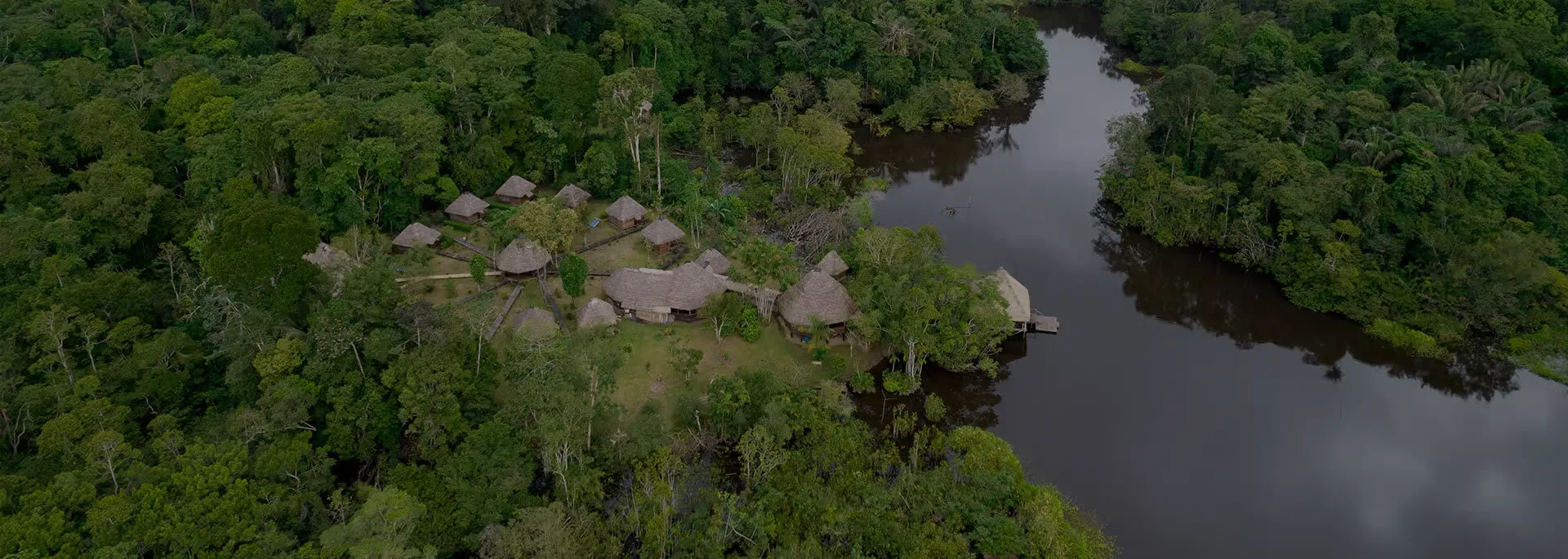 Ecuadorian Amazon jungle