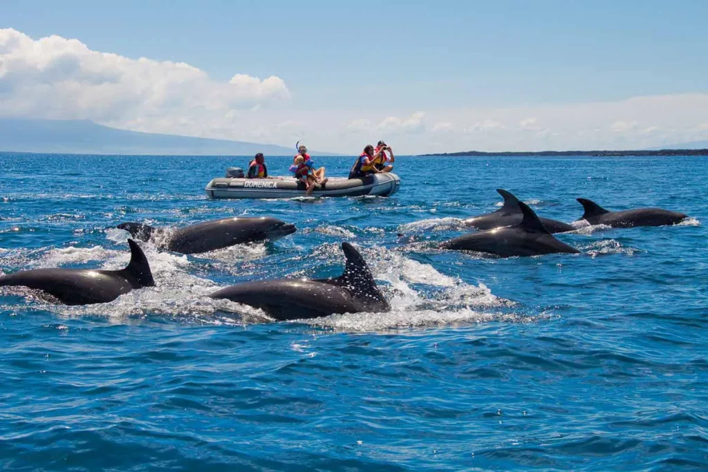 Seaman Journey Galapagos Adventure