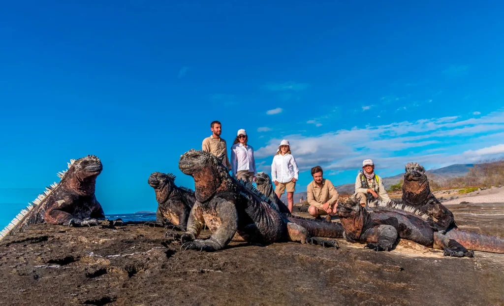 Tribute Galapagos Yacht Activities