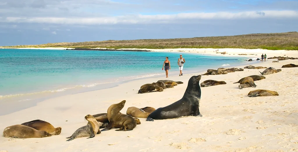 Tribute Galapagos Yacht Activities