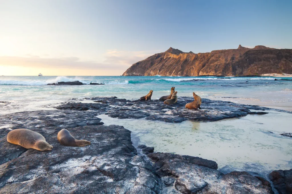 Tribute Galapagos Yacht Activities