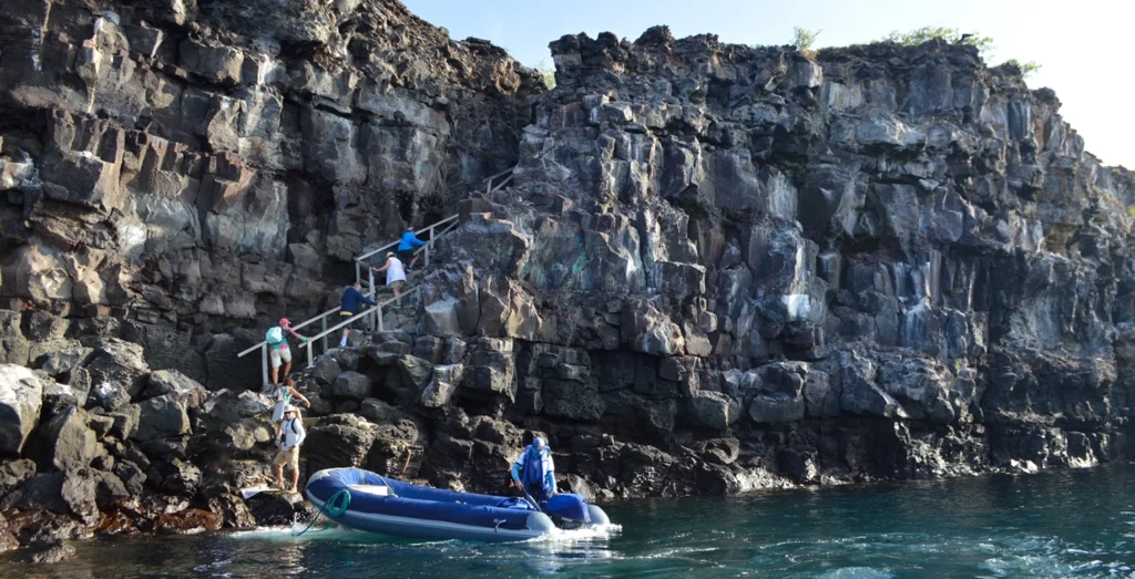 Tribute Galapagos Yacht Activities