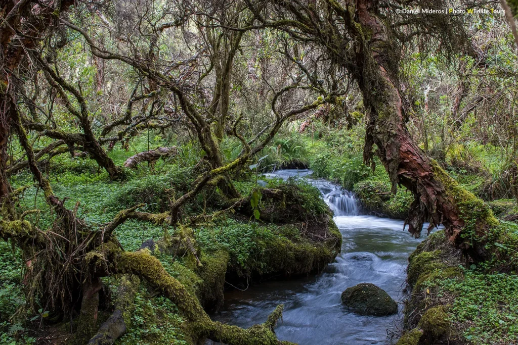 Unique Haciendas Hidden Magic Andes Ecuador