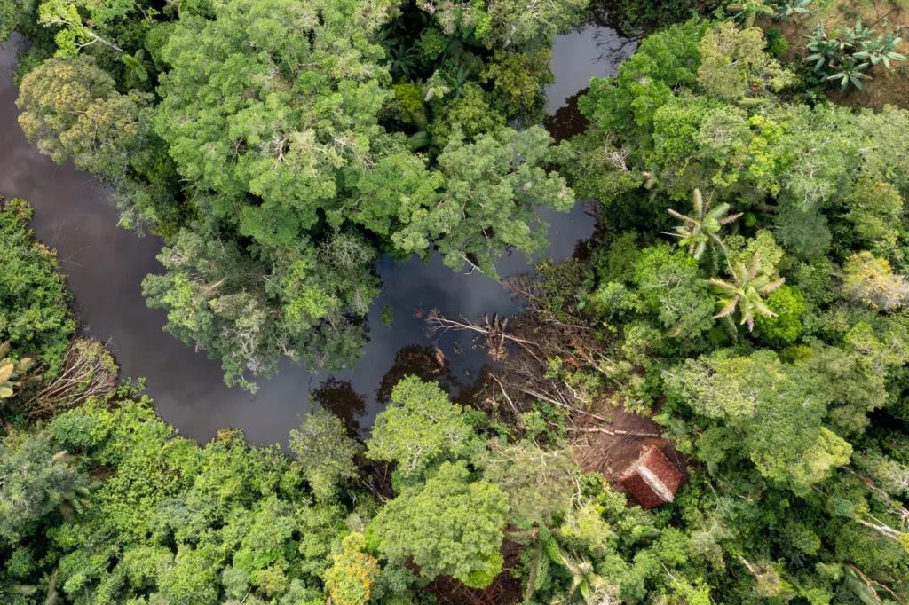 Camping in Amazon Rainforest