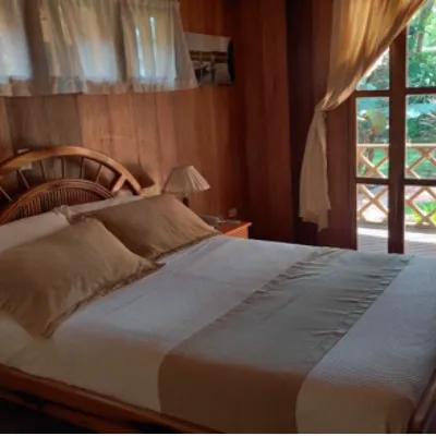 Waorani Lodge 4-Day Itinerary Amazon Ecuador