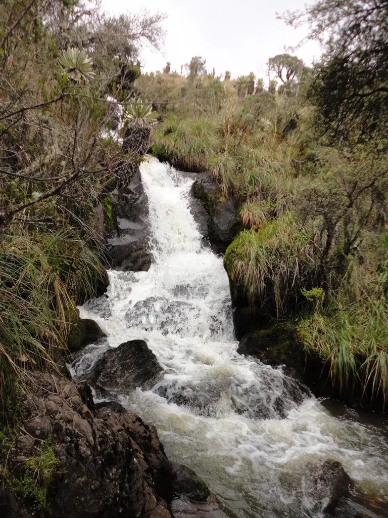 Yoga Retreat Ecuador
