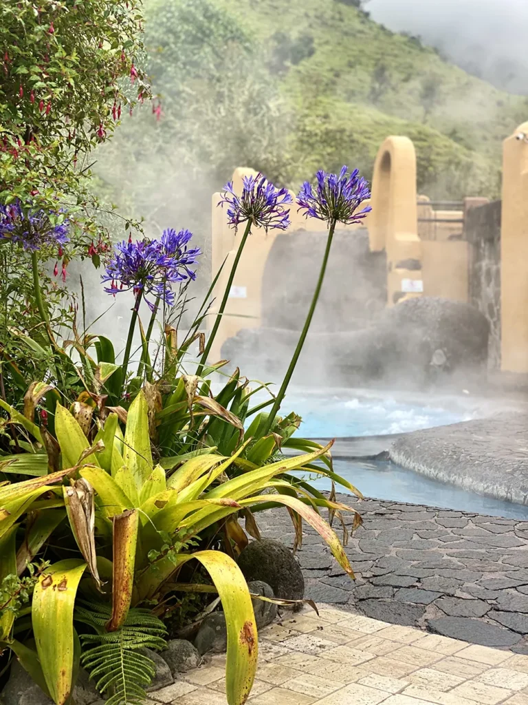 Yoga Retreat Ecuador