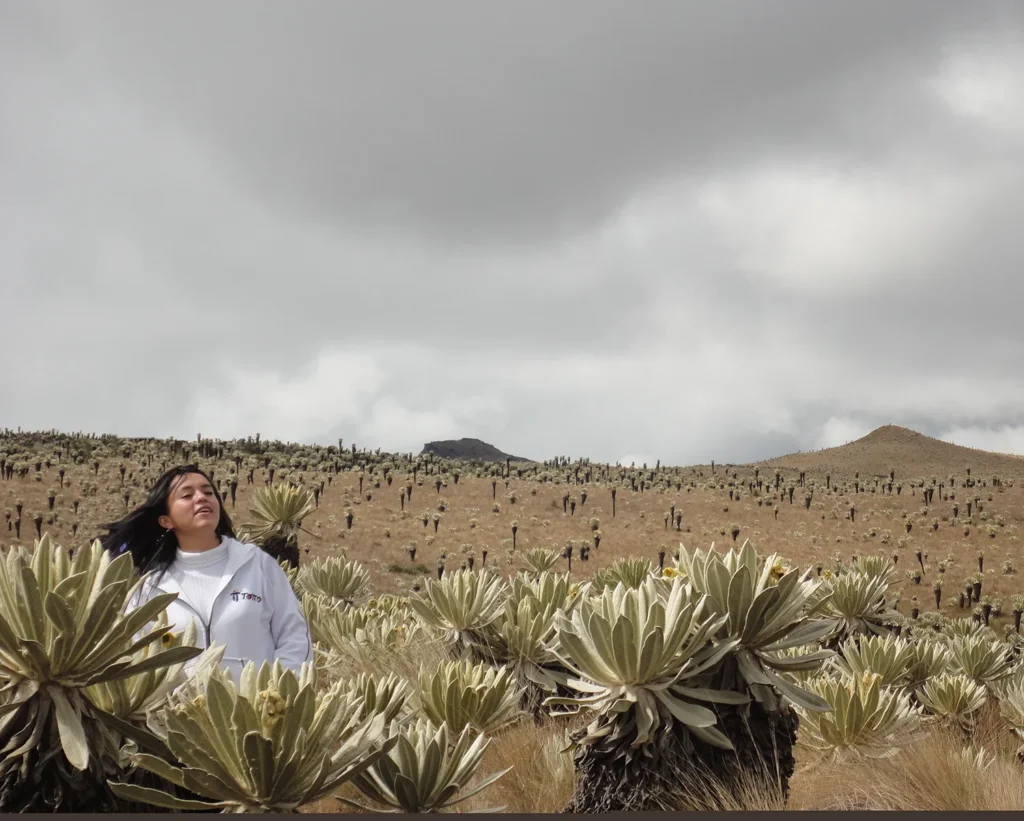 Yoga Retreat Ecuador